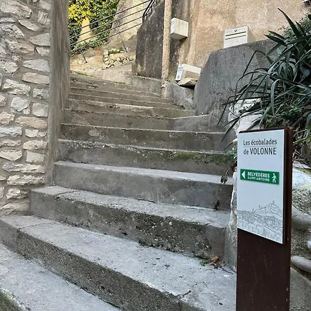 Appartement Neuf Au Coeur De Volonne